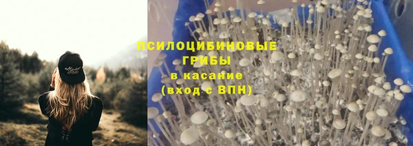 хмурый Абаза