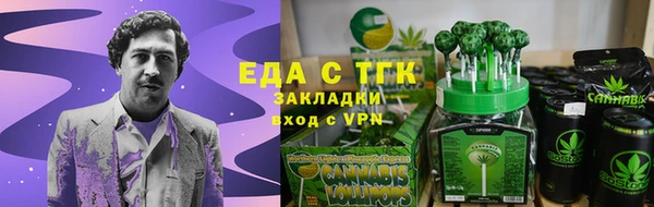 хмурый Абаза