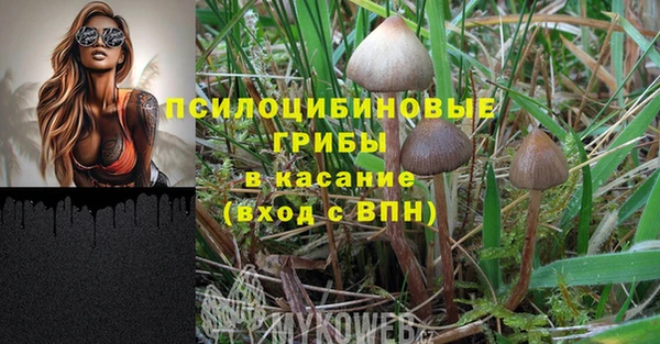 твердый Аркадак