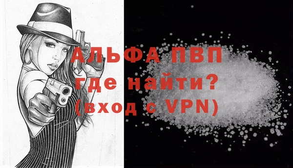 хмурый Абаза