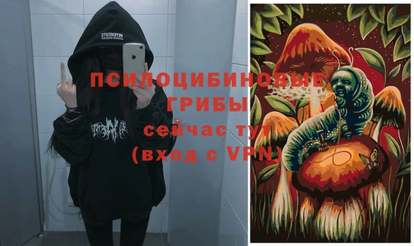 хмурый Абаза