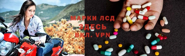 хмурый Абаза