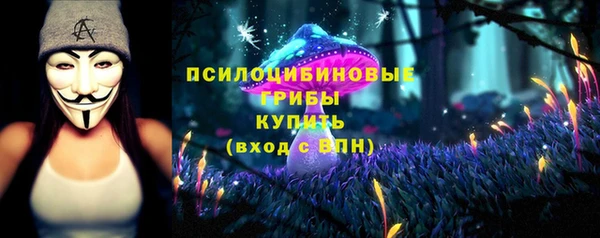 сатива Абдулино
