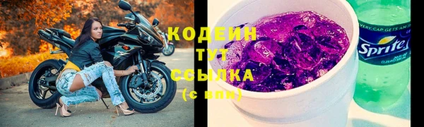 хмурый Абаза