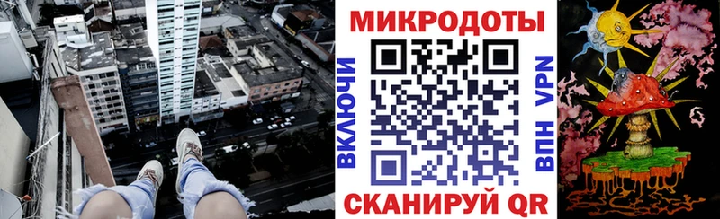 Галлюциногенные грибы Psilocybine cubensis  Юрга 